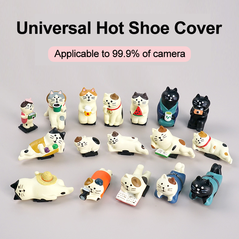 Penutup Hot Shoe Kamera Univer - Canon Camera Eos R50 ulasan dan harga